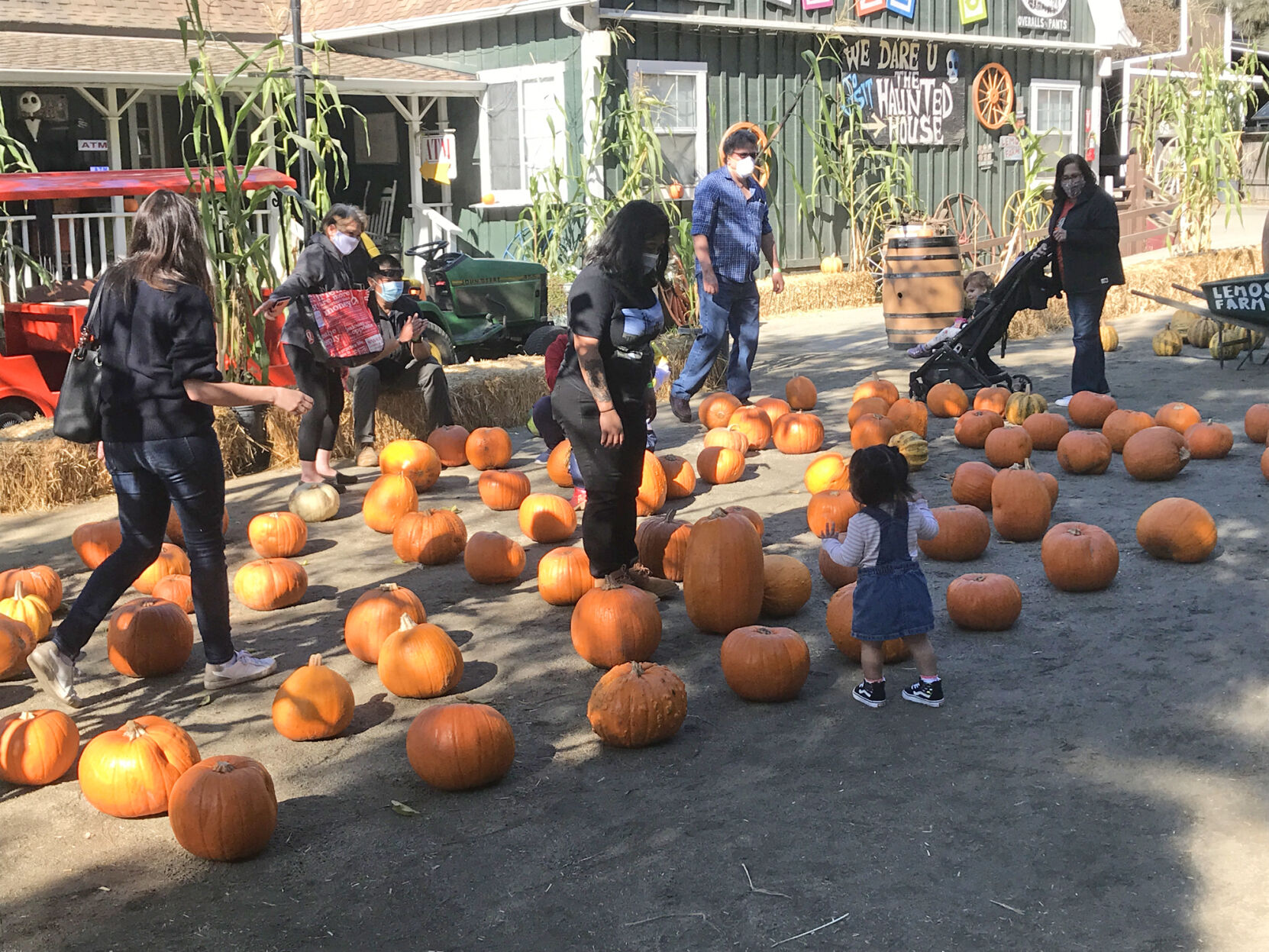 Lemos Farm
